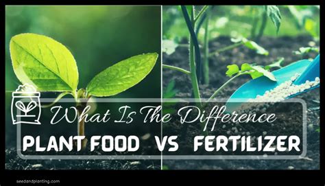 Plant Food Vs Fertilizer What S The Difference Seed And Planting