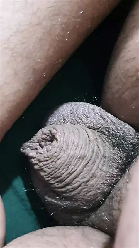 Free Ass Cleaning Porn Videos XHamster