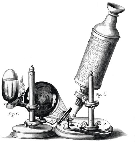 De linvention du microscope à la théorie cellulaire Lelivrescolaire fr