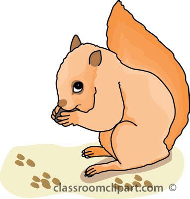 Squirrel Eating Nuts Clipart Clip Art Library