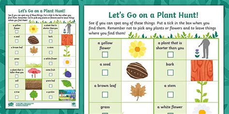 Let S Go On A Plant Hunt Activity Teacher Made Twinkl