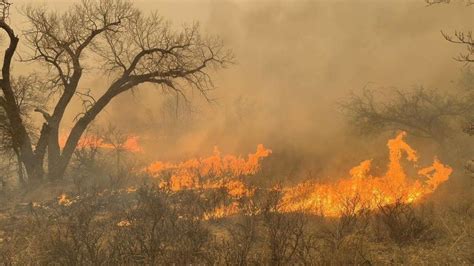 Texas Wildfire Becomes Second Largest Fire In Us History Bbc Newsround