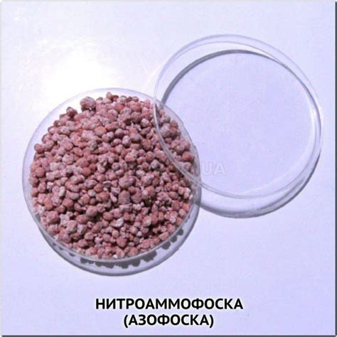 Нитроаммофоска / Азофоска, ТМ OGOROD - 100 грамм купить недорого в ...