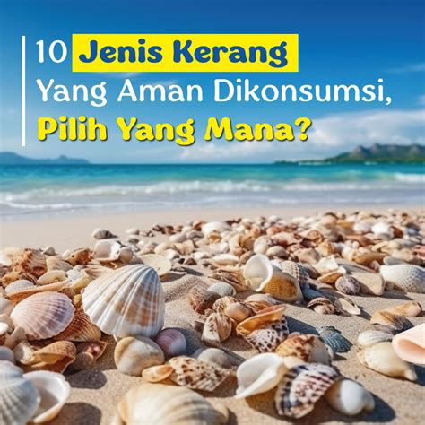 jenis kerang  aman dikonsumsi pilih