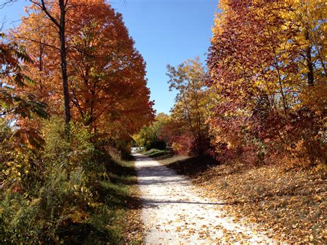 fall bike path  stock photo public domain pictures