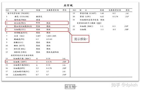 医学科普作品之“三大常规”化验单，怎么看？ 知乎