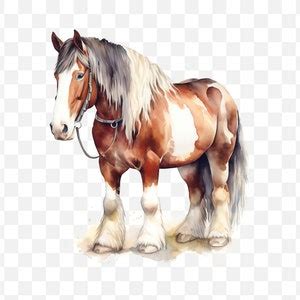 Clydesdale Horse PNG, Clydesdale Horse Watercolor - Etsy