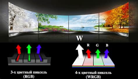 Вогнутый OLED-телевизор LG 55EA9800: начало поставок в Россию • Stereo.ru
