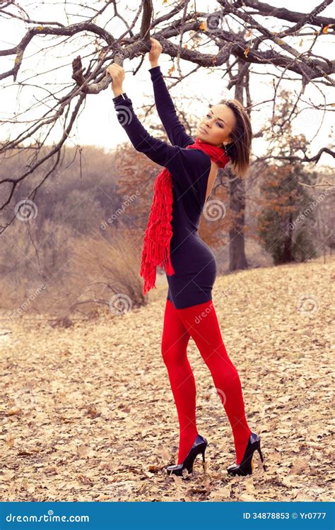 Fashion Brunette Posing Park Stock Image Image Of Attractive Lifestyles 34878853