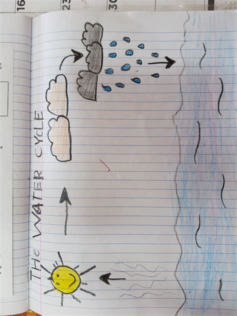 Eco Time Eden: Grade 3 Water Cycle