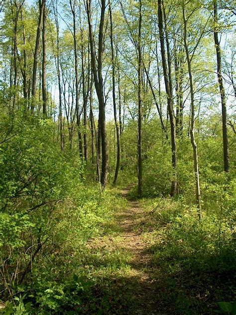 Genung Nature Preserve - Ithaca Trails