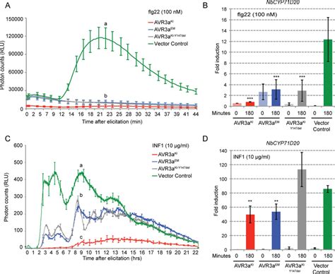 AVR3a Suppresses Elicitor Induced Reactive Oxygen Species ROS