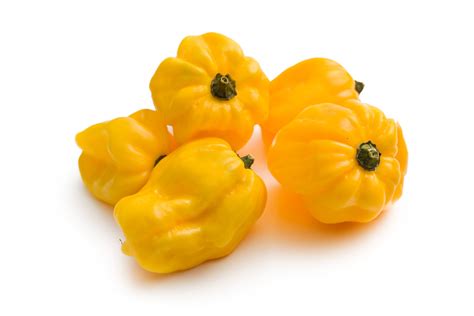 Chilli Pepper Habanero Lemon Seeds Justseed