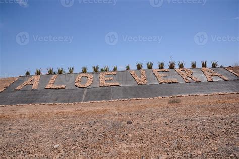 Aloe Vera Farm 21584686 Stock Photo At Vecteezy