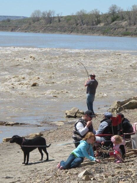 Paddlefish Season Opens At Intake Montanas Largest Paddlefishery