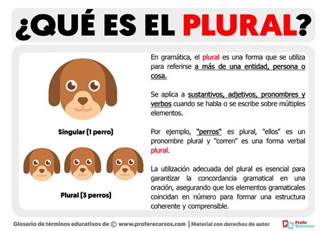 es el plural definicion de plural