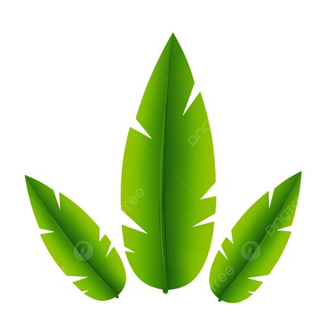Beautiful Coconut Leaves Lined Up Coconut Leaves Coconut Leaf Png
