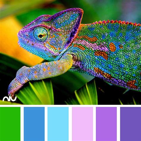 Chameleon Color Palette | Color palette design, Chameleon color, Color