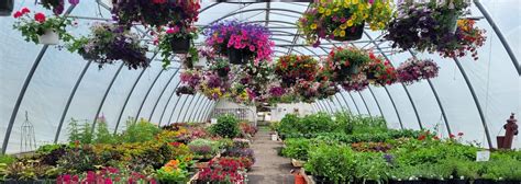 Four Seasons Greenhouse and Nursery