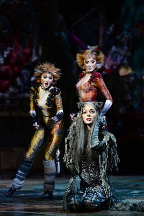 Cats Musical London Cast - Funny Cats