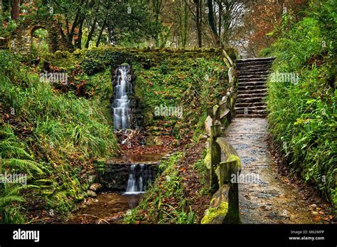 Uksomersetyeovilninesprings Country Park Stock Photo Alamy