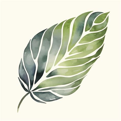 Premium Vector Watercolor Painting Tropical Palm Leaf Hand Painted