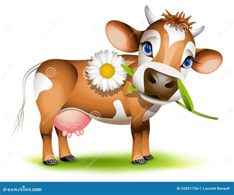 Little Jersey Cow Vector Illustration | CartoonDealer.com #26831756