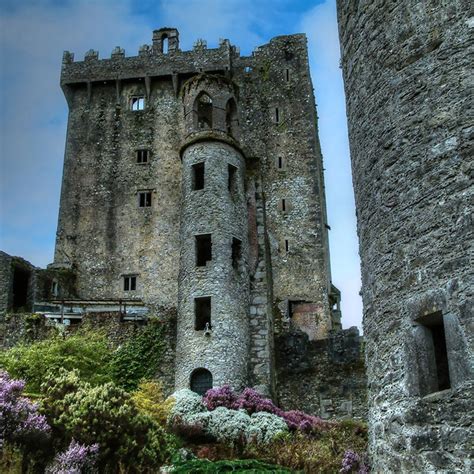 medieval  renaissance studies