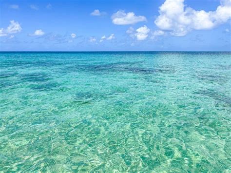 Dorsch Beach Clarity From Frederiksted St Croix