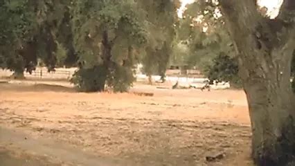 Gabrielle Anwar Tenths Celebrity Celebrity Porn By Celeb Porn Archive XHamster