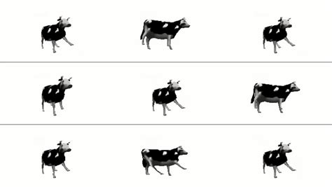 Polaca Videos XVIDEOS