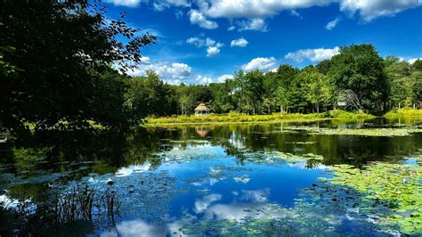 Meteorological vs. Astronomical Summer: Why the difference?