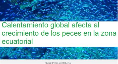 Calentamiento Global Afecta Al Crecimiento De Los Peces En La Zona