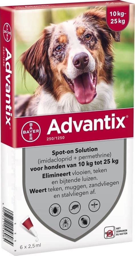 Bayer Advantix Anti Vlooien En Teken Voor Hond Kg Pipetten