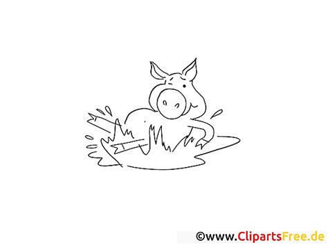 Dibujo De Cerda Para Colorear Dibujo Para Colorear