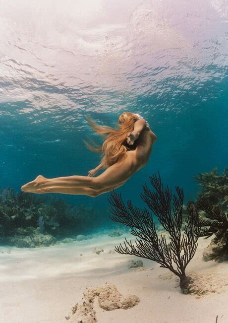 Snorkel Scuba And Free Diving Vol B Undwtr C Porn Pic