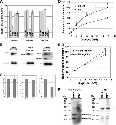 HMGN3 enhances the rate of GSIS. (A) Specific siRNA-mediated ... 