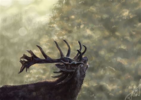 Сказочный Олень | Пикабу