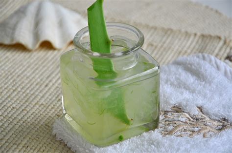 Recipe For Homemade Aloe Vera Gel Top Natural Remedies