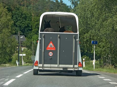 Error Api: Organization Has Been Restricted. Please Reach Out To Support If You Believe This Was In Error.