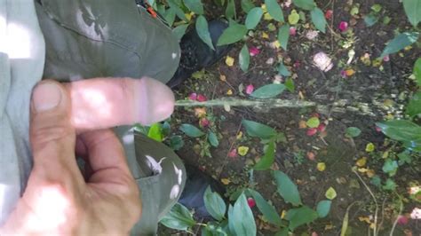 Gardener Takes A Piss Pornhub Gay