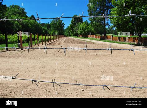 Belovezhskaya Pushcha Hi Res Stock Photography And Images Alamy