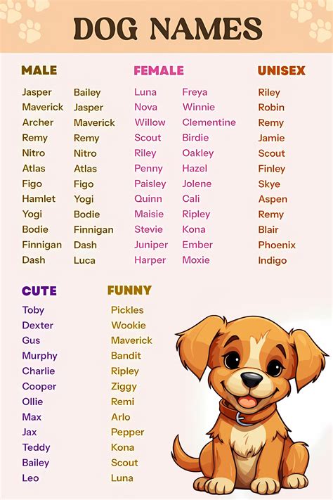 A List of Names Ideas For Male And Female Dog | Dog Names in 2025