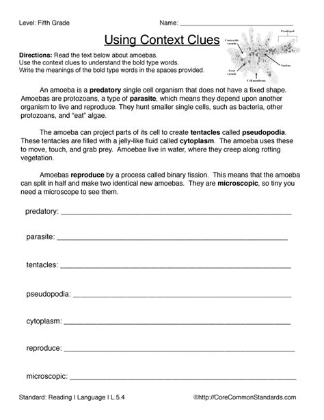 Core Worksheets For 5th Grade