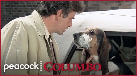 6 Times Columbo's Dog Stole the Scene | Columbo | Old tv shows, Columbo ...