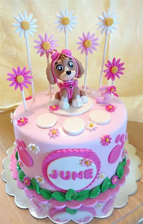Paw Patrol Rocky Paw Patrol Girl Paw Patrol Pups Paw Patrol Cake Porn