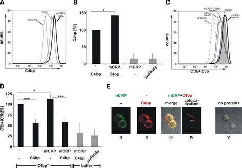 C4bp Is Recruited By MCRP To The Surface Of Necrotic Jurkat Cells And