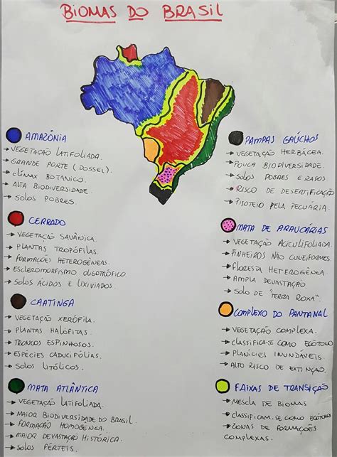 Geografia De Tudo Esquem O Dos Biomas Do Brasil