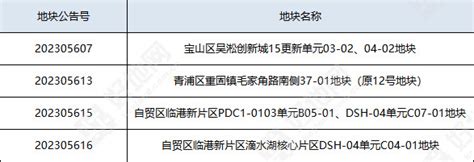 上海二批次首轮土拍前瞻：整体降温，分化加剧好地网