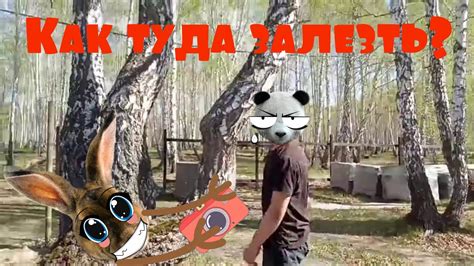 Дереволазы - YouTube